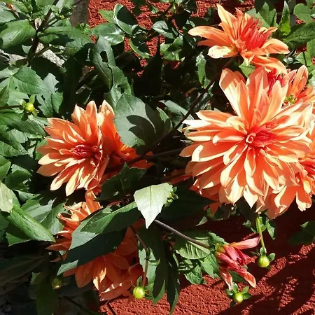 Segelboot Hirtenweg 3c *