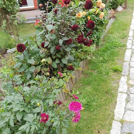 Segelboot Hirtenweg 3c 度假居