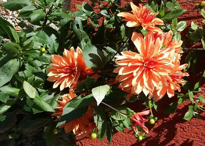 Segelboot Hirtenweg 3c *