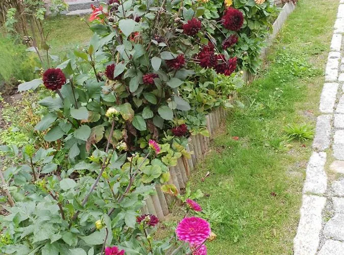 Segelboot Hirtenweg 3c Vakantiehuis